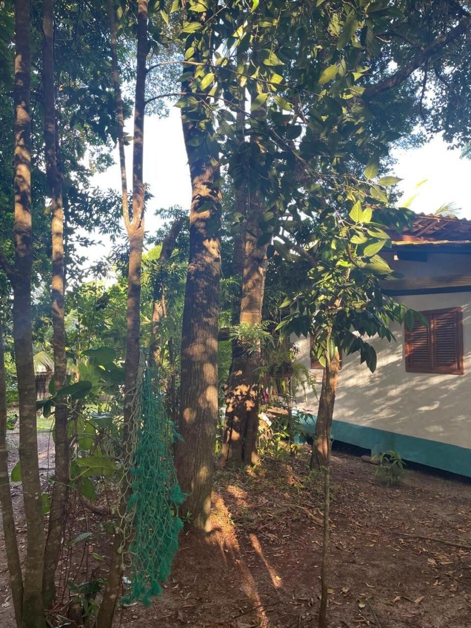 Privacidade, Sossego E Axe Em Taipu De Fora Barra Grande  Exterior foto